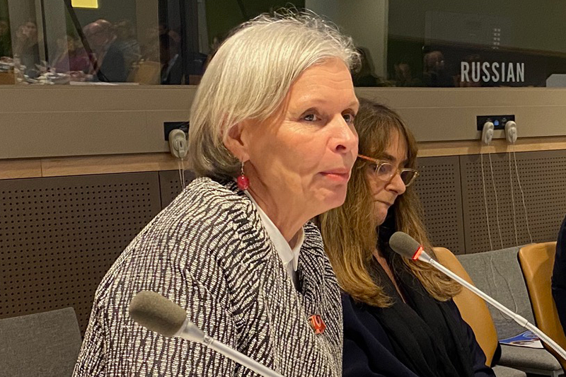 Anneka Knutsson UNFPA Chief of Sexual Reproductive Health.